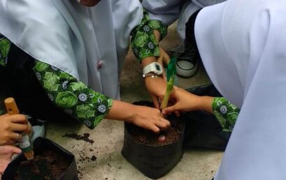 Kelas 9 MTs Darul Hikmah Pekanbaru Belajar Sistem Reproduksi Tumbuhan melalui menanam tumbuhan